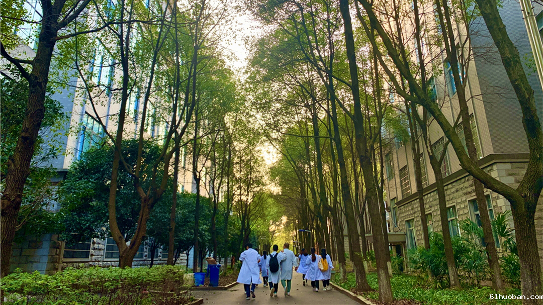 图片6.png 图片6.png